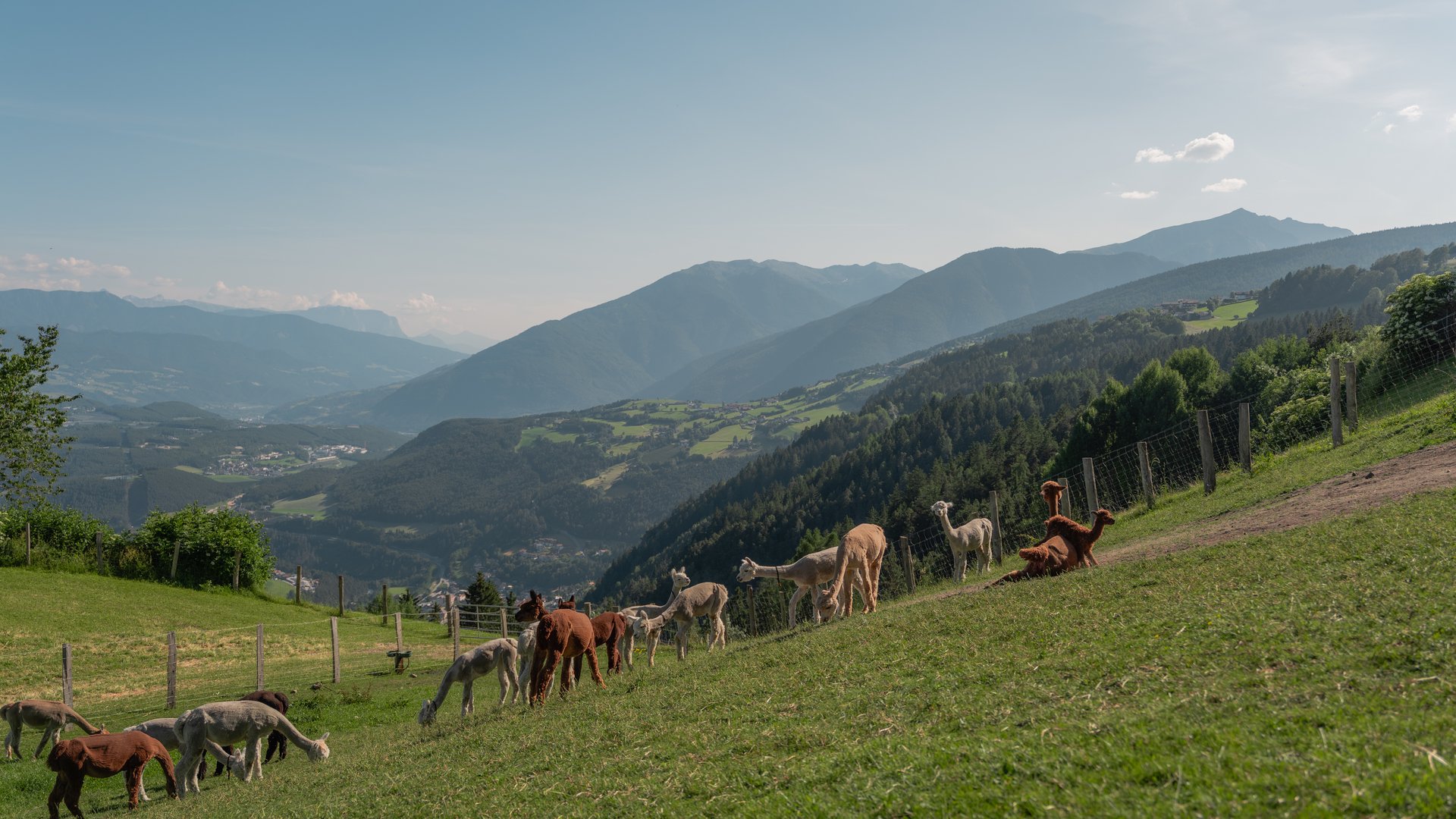 Der Huberhof in Meransen: willkommen! Der Huberhof in Meransen: willkommen!