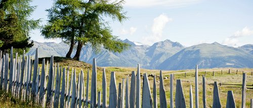 Activities at your hotel in South Tyrol with pool Activities at your hotel in South Tyrol with pool