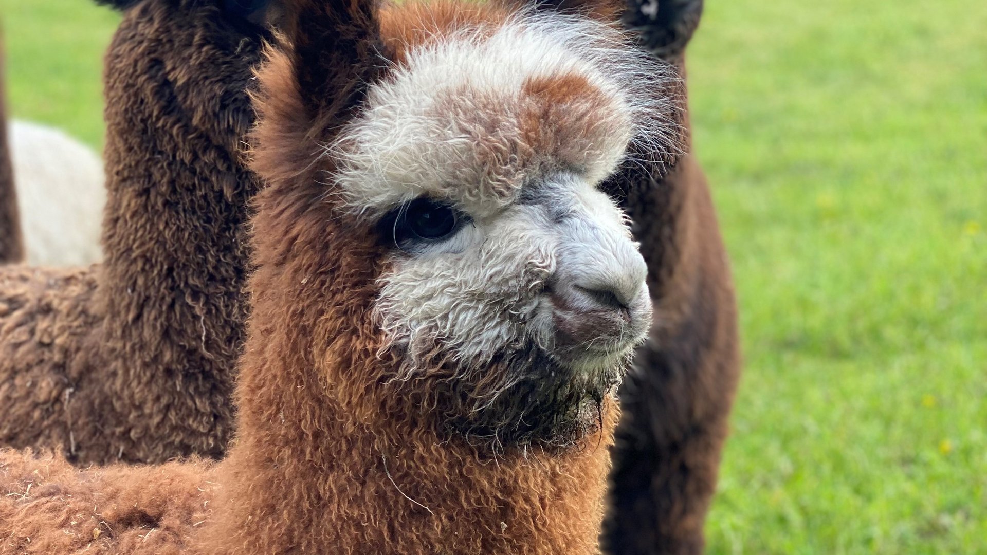 Agrar News - Agricultural reorientation Agrar News - Agricultural reorientation