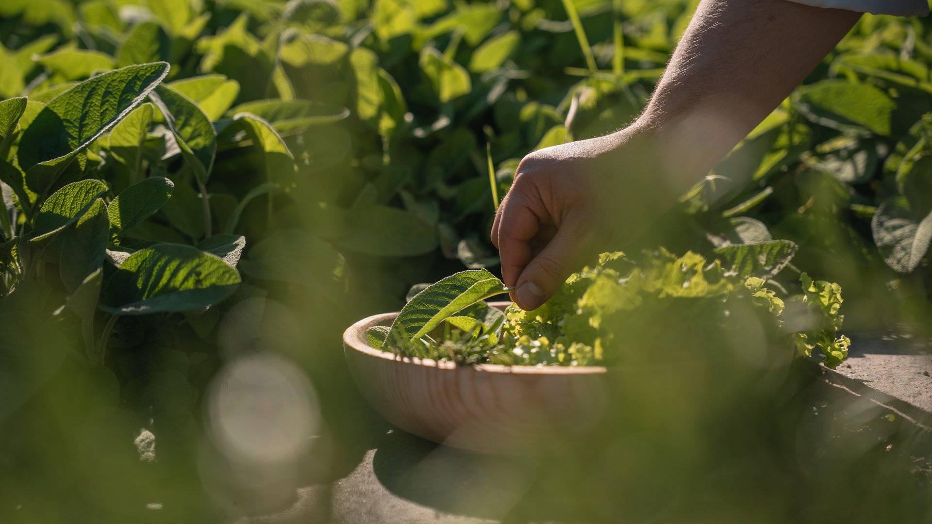 Der Huberhof in Meransen: willkommen! Der Huberhof in Meransen: willkommen!