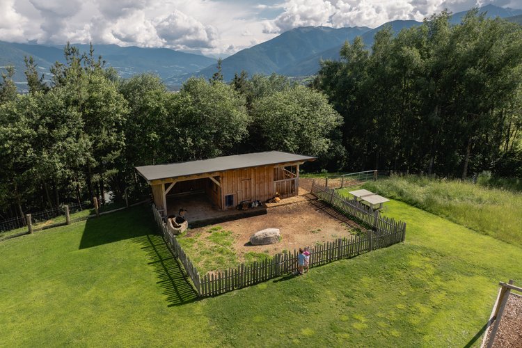 The petting zoo on Monte Cuzzo/Gitschberg The petting zoo on Monte Cuzzo/Gitschberg