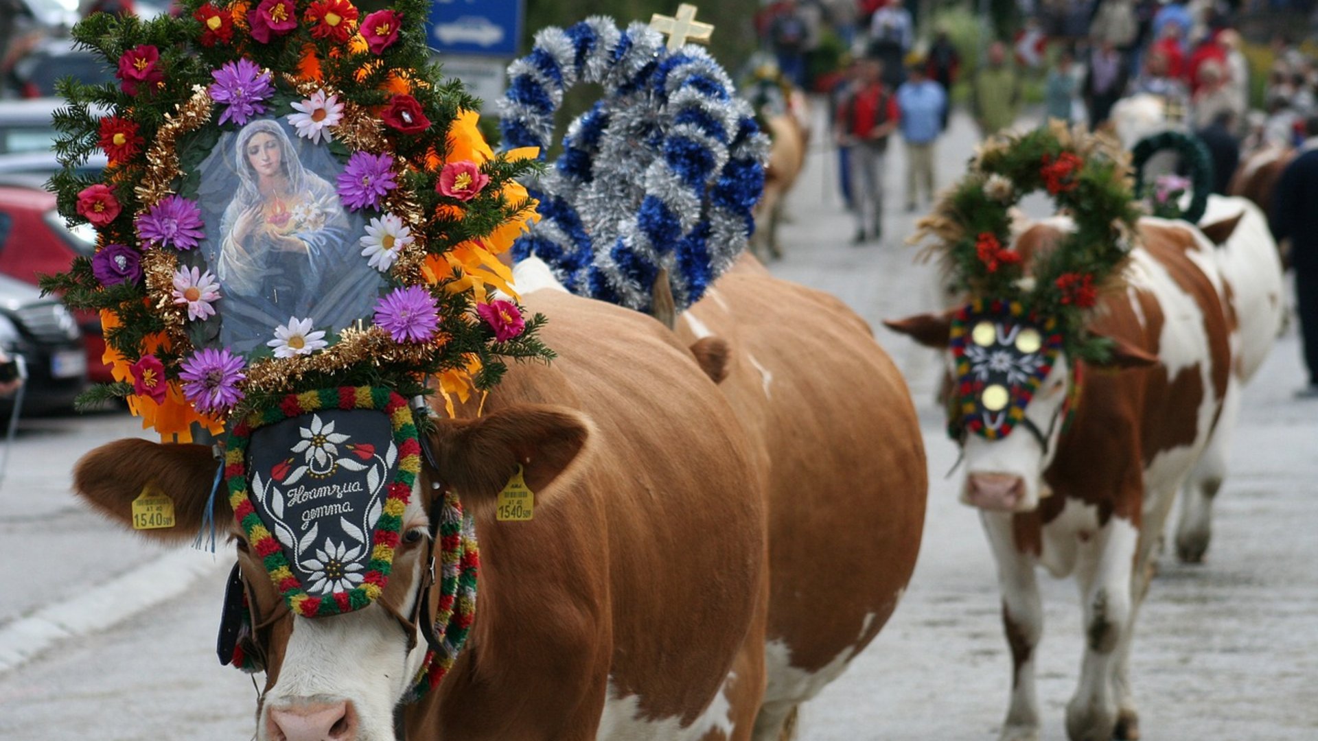 Tradition and customs in Meransen in autumn Tradition and customs in Meransen in autumn